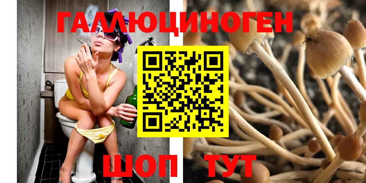 Галлюциногенные грибы Cubensis Кандалакша